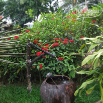 фото из отзыва ID 173494