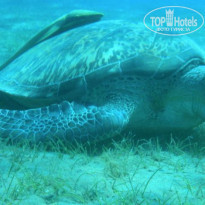 фото из отзыва ID 173266