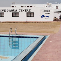 фото из отзыва ID 173791