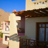 фото из отзыва ID 173872