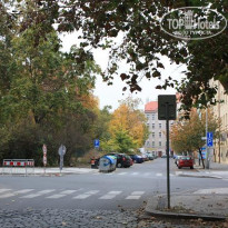 фото из отзыва ID 173954