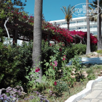 фото из отзыва ID 1730041