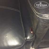 фото из отзыва ID 1730071