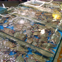 фото из отзыва ID 1730206