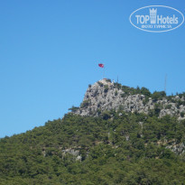 фото из отзыва ID 1730263