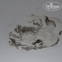 фото из отзыва ID 1730354