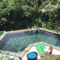 фото из отзыва ID 1730630