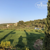 фото из отзыва ID 1730812