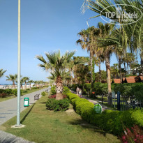 фото из отзыва ID 1730849