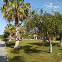 фото из отзыва ID 1730849