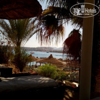 фото из отзыва ID 1730881