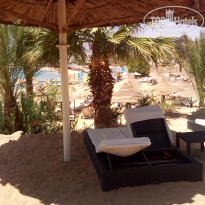 фото из отзыва ID 1730881