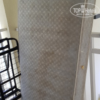 фото из отзыва ID 1730907