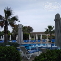 фото из отзыва ID 1731071