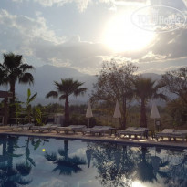 фото из отзыва ID 1731072