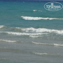 фото из отзыва ID 1731176