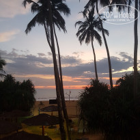 фото из отзыва ID 1731194