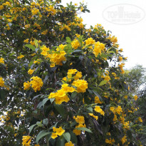 фото из отзыва ID 1731248