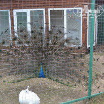 фото из отзыва ID 1731229