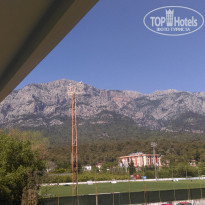 фото из отзыва ID 1731306