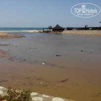 фото из отзыва ID 1731368