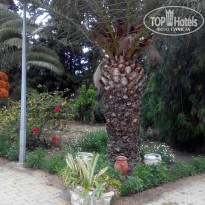 фото из отзыва ID 1731368