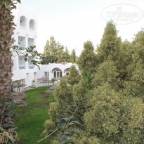 фото из отзыва ID 1731368