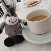 фото из отзыва ID 1731496