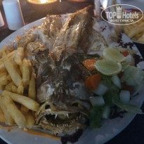 фото из отзыва ID 1730419