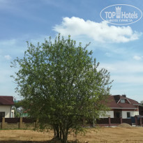 фото из отзыва ID 1730865