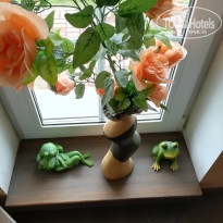 фото из отзыва ID 1730865