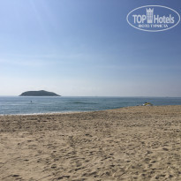 фото из отзыва ID 1731623