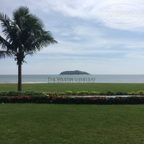 фото из отзыва ID 1731623