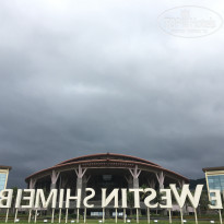 фото из отзыва ID 1731623