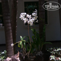 фото из отзыва ID 1731732