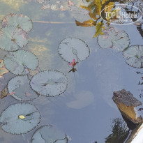 фото из отзыва ID 1731787