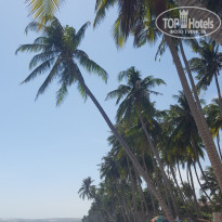 фото из отзыва ID 1731787