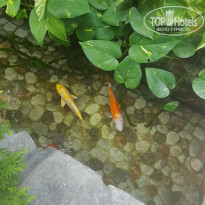 фото из отзыва ID 1731787