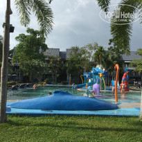 фото из отзыва ID 1731914