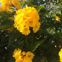 фото из отзыва ID 1731917