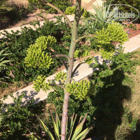 фото из отзыва ID 1731917