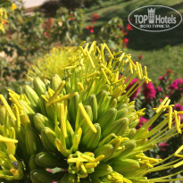 фото из отзыва ID 1731917