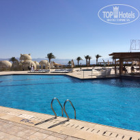 фото из отзыва ID 1731917