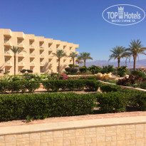 фото из отзыва ID 1731917