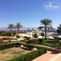 фото из отзыва ID 1731917