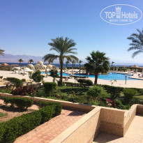 фото из отзыва ID 1731917