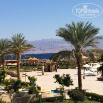 фото из отзыва ID 1731917