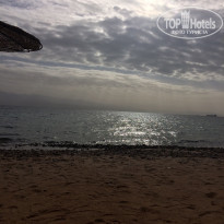 фото из отзыва ID 1731917