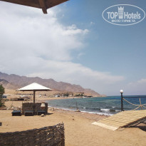 фото из отзыва ID 1731946