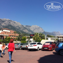 фото из отзыва ID 1731947